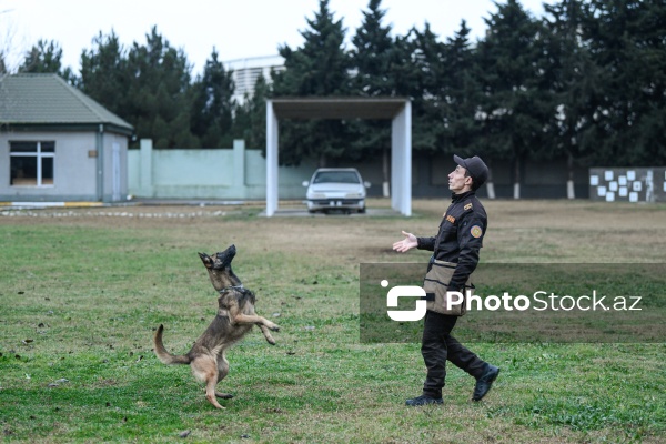 16 dekabr - Fövqəladə Hallar Nazirliyi işçilərinin peşə bayramı günü
