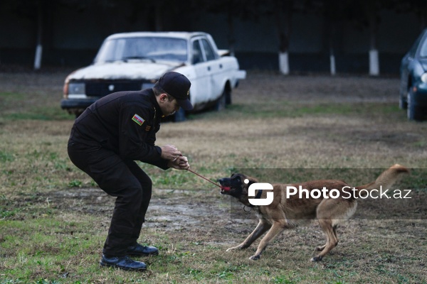16 dekabr - Fövqəladə Hallar Nazirliyi işçilərinin peşə bayramı günü