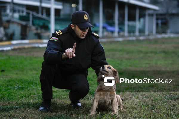 16 dekabr - Fövqəladə Hallar Nazirliyi işçilərinin peşə bayramı günü