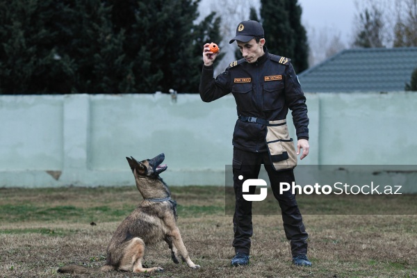 16 dekabr - Fövqəladə Hallar Nazirliyi işçilərinin peşə bayramı günü