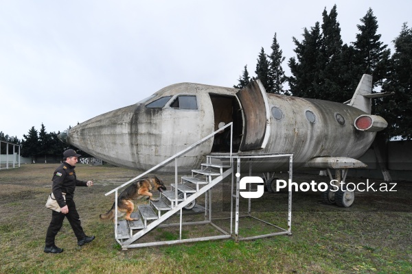 16 dekabr - Fövqəladə Hallar Nazirliyi işçilərinin peşə bayramı günü