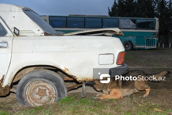 16 dekabr - Fövqəladə Hallar Nazirliyi işçilərinin peşə bayramı günü