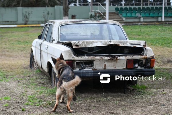 16 dekabr - Fövqəladə Hallar Nazirliyi işçilərinin peşə bayramı günü