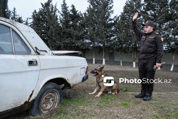 16 dekabr - Fövqəladə Hallar Nazirliyi işçilərinin peşə bayramı günü
