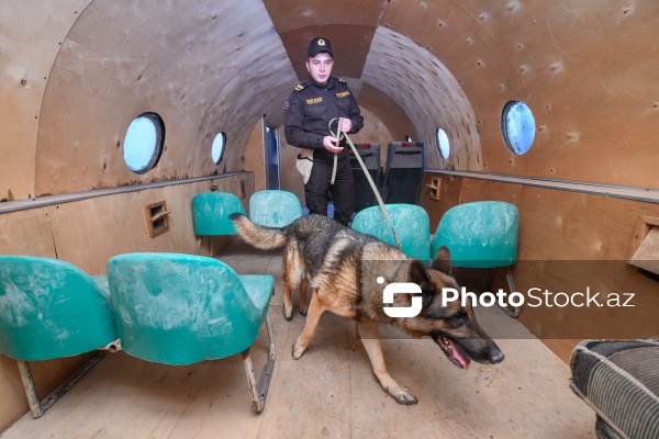 16 dekabr - Fövqəladə Hallar Nazirliyi işçilərinin peşə bayramı günü
