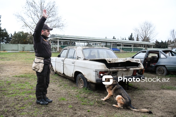 16 dekabr - Fövqəladə Hallar Nazirliyi işçilərinin peşə bayramı günü