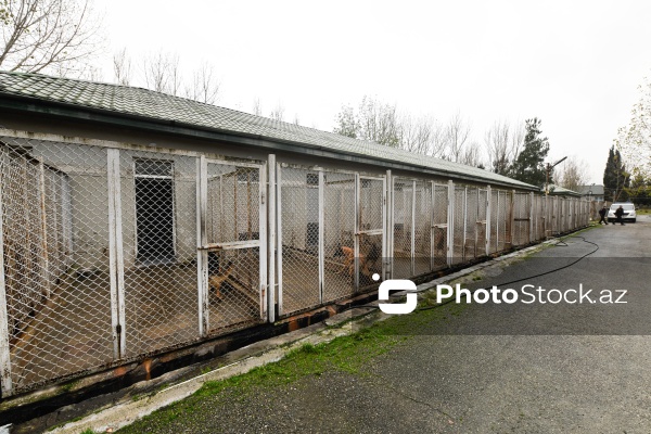 16 dekabr - Fövqəladə Hallar Nazirliyi işçilərinin peşə bayramı günü