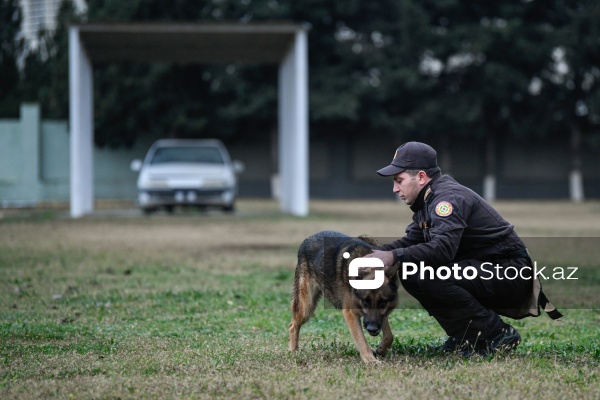16 dekabr - Fövqəladə Hallar Nazirliyi işçilərinin peşə bayramı günü