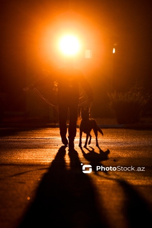 16 dekabr - Fövqəladə Hallar Nazirliyi işçilərinin peşə bayramı günü