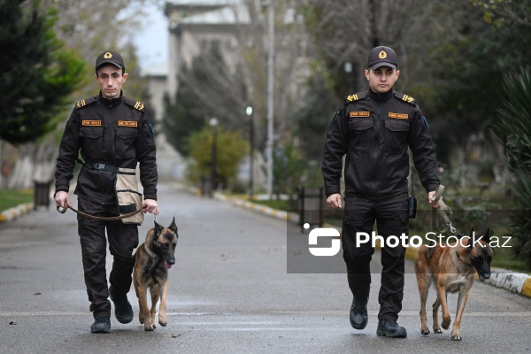 16 dekabr - Fövqəladə Hallar Nazirliyi işçilərinin peşə bayramı günü