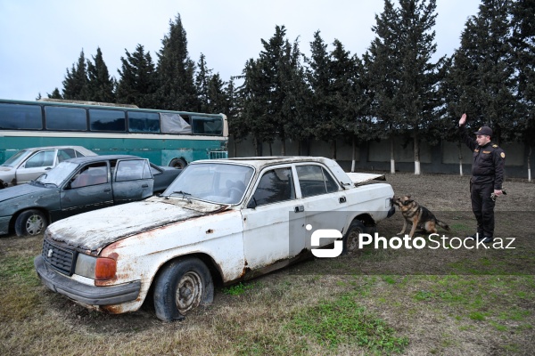 16 dekabr - Fövqəladə Hallar Nazirliyi işçilərinin peşə bayramı günü