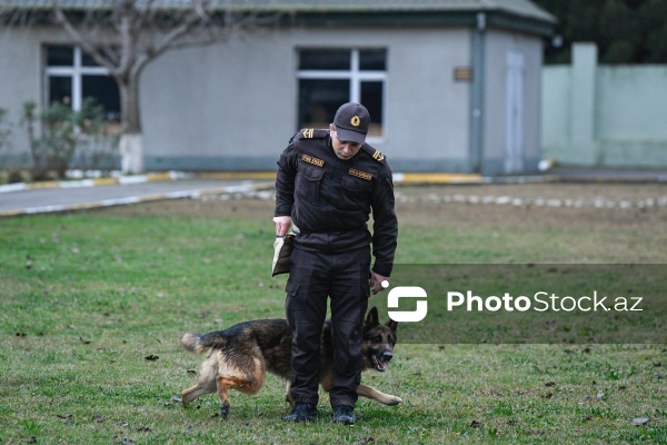 16 dekabr - Fövqəladə Hallar Nazirliyi işçilərinin peşə bayramı günü