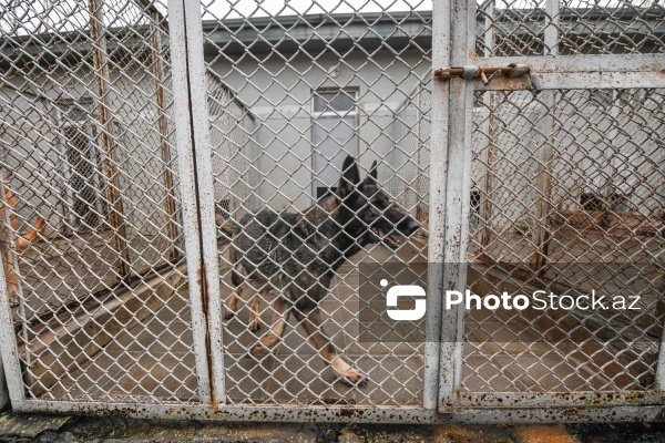 16 dekabr - Fövqəladə Hallar Nazirliyi işçilərinin peşə bayramı günü