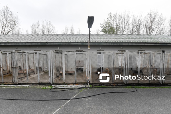 16 dekabr - Fövqəladə Hallar Nazirliyi işçilərinin peşə bayramı günü