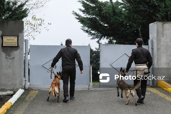 16 dekabr - Fövqəladə Hallar Nazirliyi işçilərinin peşə bayramı günü
