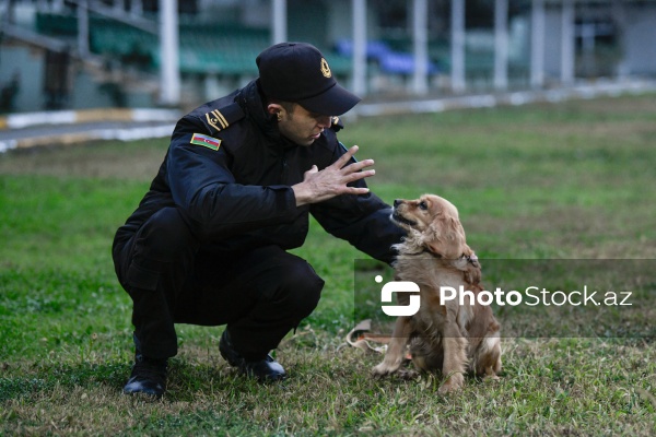 16 dekabr - Fövqəladə Hallar Nazirliyi işçilərinin peşə bayramı günü