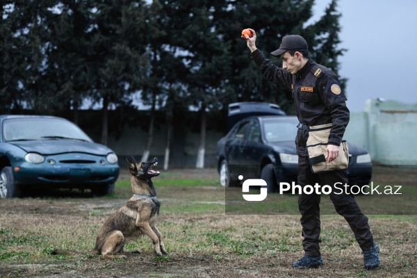 16 dekabr - Fövqəladə Hallar Nazirliyi işçilərinin peşə bayramı günü