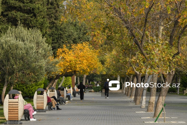 Xəzərin sahilində bir əsrlik istirahət məkanı - Bakı Bulvarı