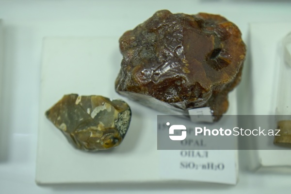 Azərbaycan Dövlət Neft və Sənaye Universitetinin Mineralogiya Muzeyi