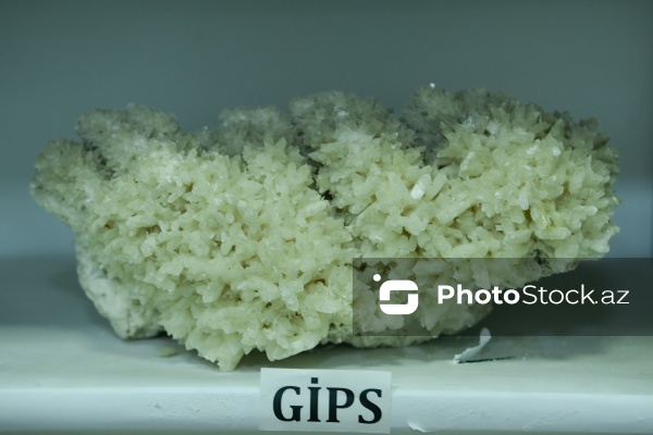 Azərbaycan Dövlət Neft və Sənaye Universitetinin Mineralogiya Muzeyi