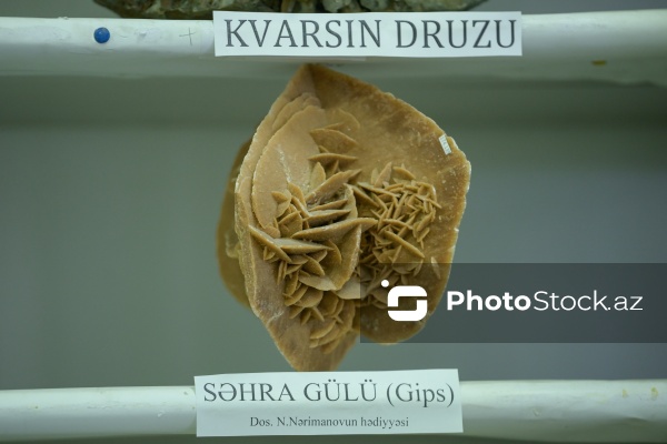 Azərbaycan Dövlət Neft və Sənaye Universitetinin Mineralogiya Muzeyi