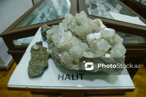 Azərbaycan Dövlət Neft və Sənaye Universitetinin Mineralogiya Muzeyi