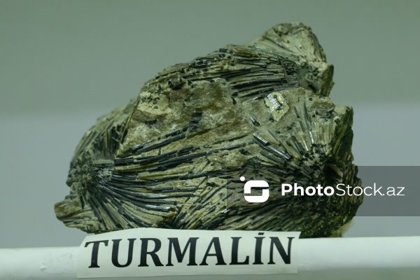 Azərbaycan Dövlət Neft və Sənaye Universitetinin Mineralogiya Muzeyi