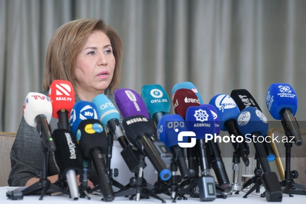 Bahar Muradova - “Ailə, qadın və uşaq məsələləri media müstəvisində: çağırışlar və perspektivlər” konfransında