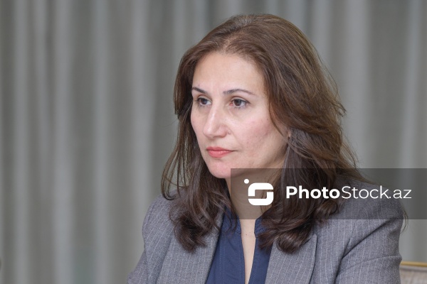 Taliyə İbrahimova - “Ailə, qadın və uşaq məsələləri media müstəvisində: çağırışlar və perspektivlər” konfransında