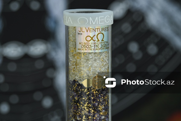 Alman tədqiqatçısı Yakob Mayer