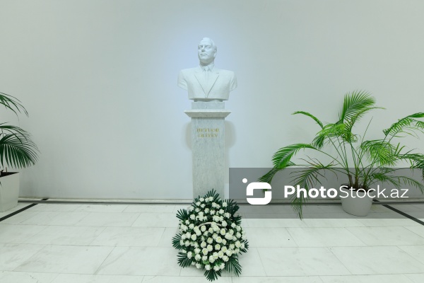 Zəngin kitab fonduna malik AMEA-nın Mərkəzi Elmi Kitabxanası