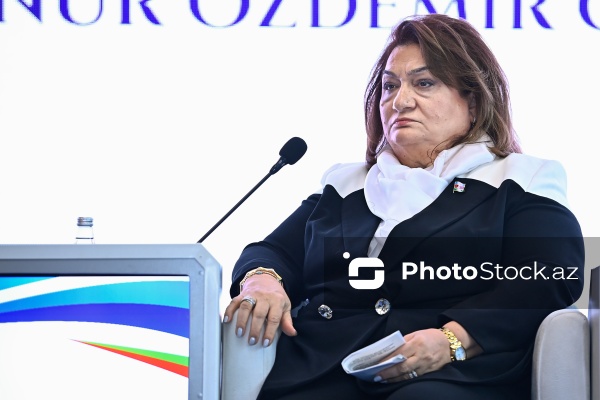 Hicran Hüseynova - AQEM-in qadınların liderliyinə həsr olunmuş beynəlxalq konfransında