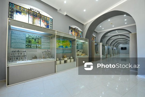 Arxeologiya və Antropologiya İnstitutunun muzey-sərgi zalı