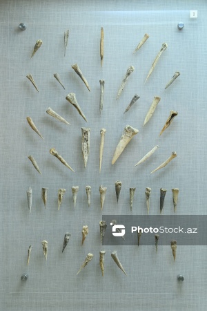 Arxeologiya və Antropologiya İnstitutunun muzey-sərgi zalı