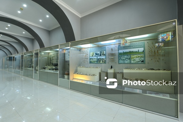 Arxeologiya və Antropologiya İnstitutunun muzey-sərgi zalı