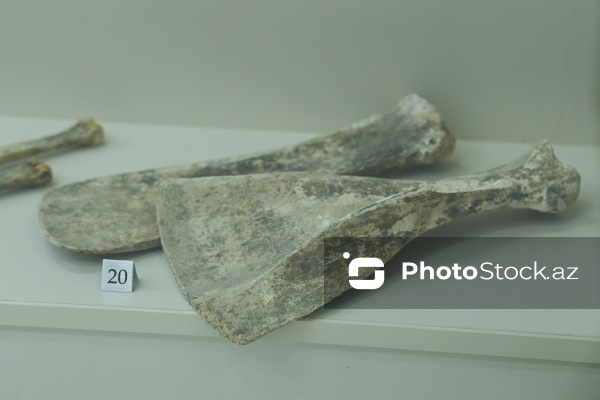 Arxeologiya və Antropologiya İnstitutunun muzey-sərgi zalı