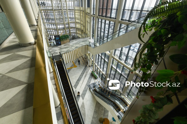 5 dekabr – Beynəlxalq Könüllülər Günü