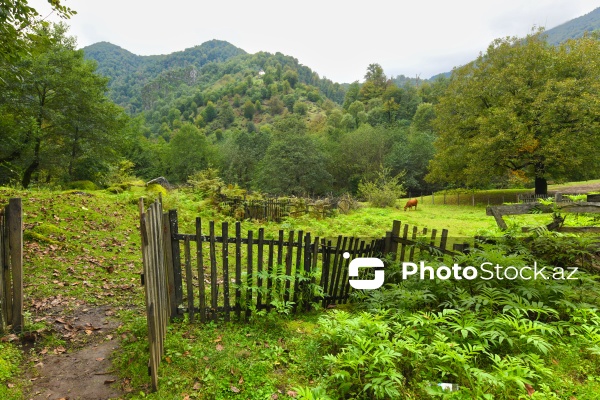 Astaranın Sım kəndinə təşkil olunan mediatur
