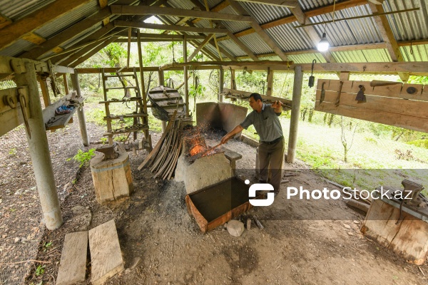 Astaranın Sım kəndinə təşkil olunan mediatur