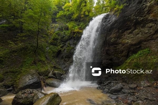 Astaranın Sım kəndinə təşkil olunan mediatur