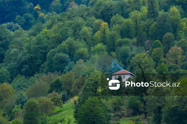 Astaranın Sım kəndinə təşkil olunan mediatur