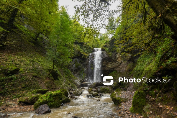 Astaranın Sım kəndinə təşkil olunan mediatur