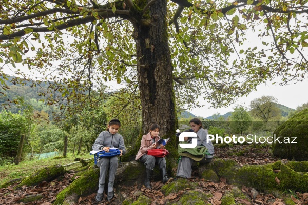 Astaranın Sım kəndinə təşkil olunan mediatur