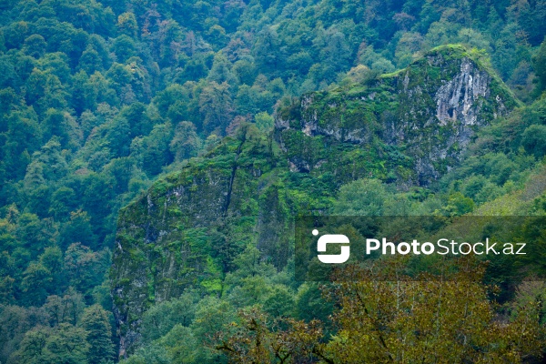 Astaranın Sım kəndinə təşkil olunan mediatur