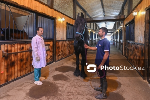 Xəzər rayonunda yerləşən Binə Atçılıq Mərkəzi