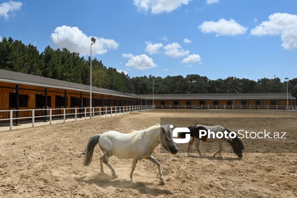 Xəzər rayonunda yerləşən Binə Atçılıq Mərkəzi