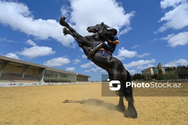 Xəzər rayonunda yerləşən Binə Atçılıq Mərkəzi