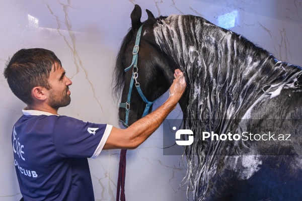 Xəzər rayonunda yerləşən Binə Atçılıq Mərkəzi