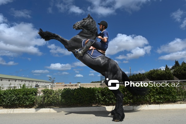 Xəzər rayonunda yerləşən Binə Atçılıq Mərkəzi