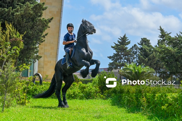 Xəzər rayonunda yerləşən Binə Atçılıq Mərkəzi
